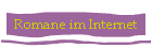 Romane im Internet